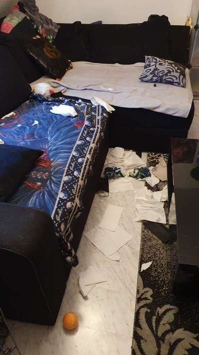 Zeig mir, dass du mit einem hund zusammenlebst....-Beitrag-Bild