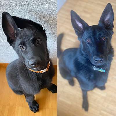 28. Handy-Fotochallenge - Damals und heute-Beitrag-Bild