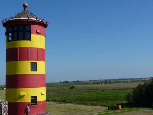Die wunderschöne Welt mit Hund.-Beitrag-Bild