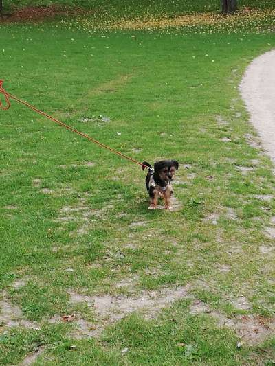 Foto Challenge 3-Beitrag-Bild