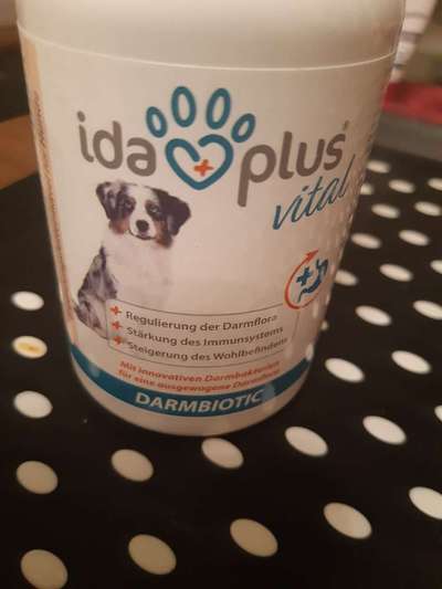 Durchfall beim Hund-Beitrag-Bild