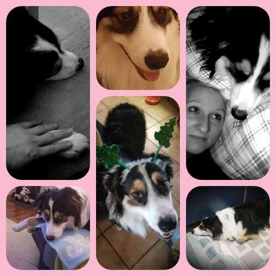 18. Collagen Challenge - Zunge raus!-Beitrag-Bild