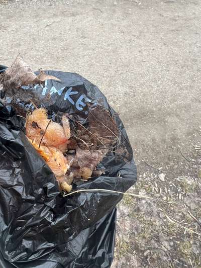 Giftköder-Möglicher GIFTKÖDER-Bild