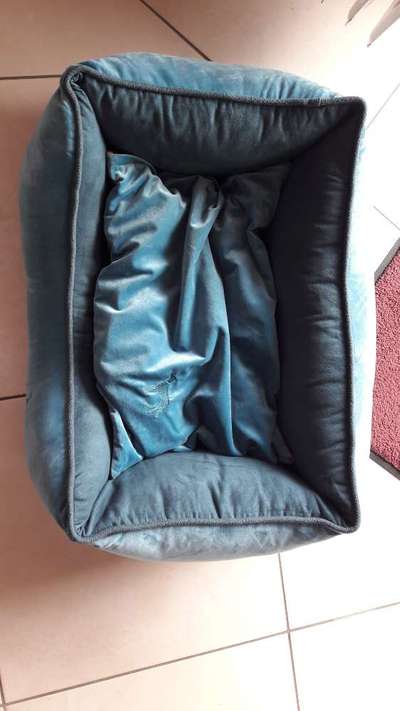 2 neue Hundebetten abzugeben-Beitrag-Bild