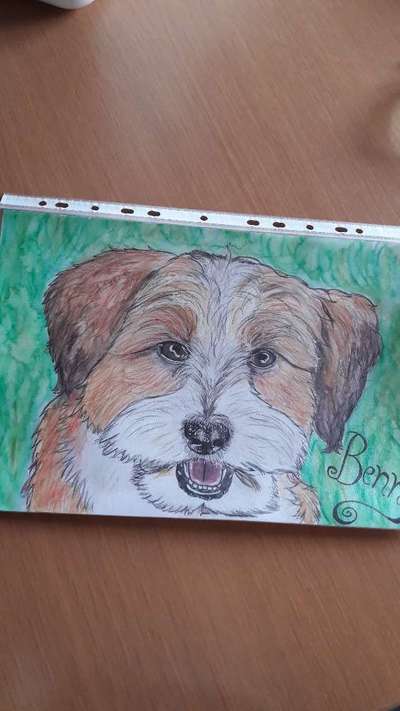 Ich zeichne deine Fellnase-Beitrag-Bild