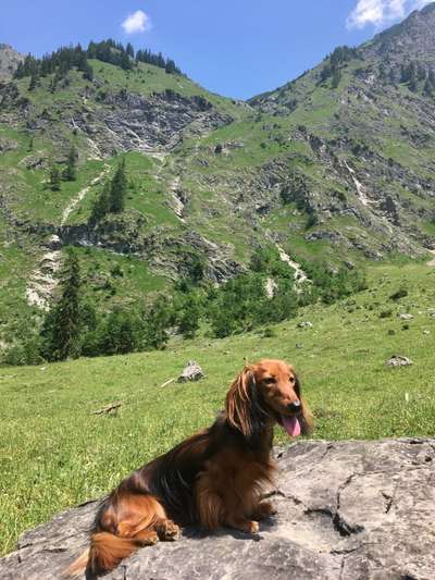 Fotochallenge 37- Sommerfeeling-Beitrag-Bild