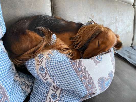 CHALLENGE NR. 34 - Liege-/Schlafpositionen-Beitrag-Bild