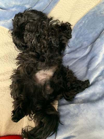 Ratespaß geht weiter-Beitrag-Bild