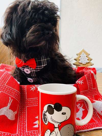 Fotochallenge Nr. 29 - Accessoires-Beitrag-Bild