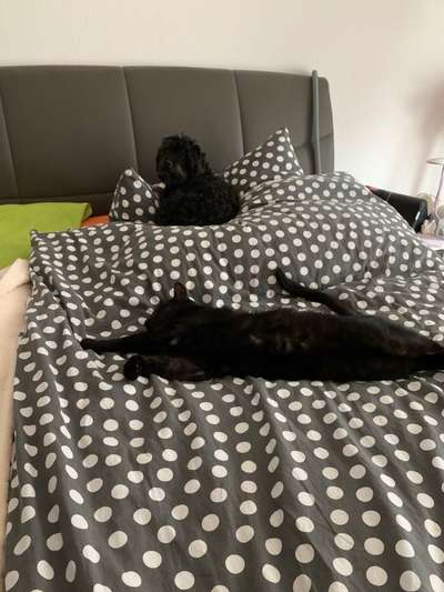 CHALLENGE Nr.17-Beitrag-Bild