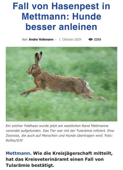 Giftköder-Fall von Hasenpest-Bild