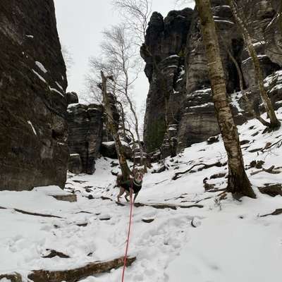 Hundetreffen-Spielstunde und Social Walks Wendland-Bild