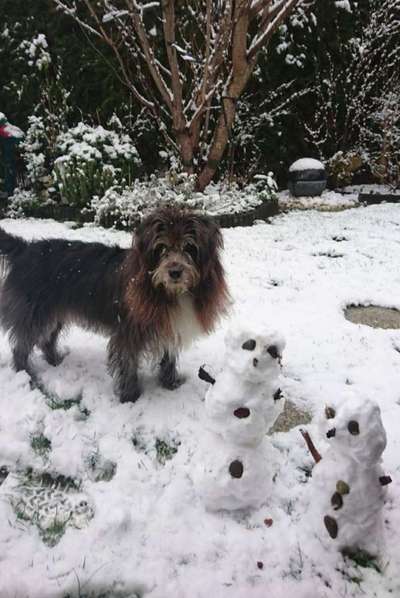 Fotochallenge 61 ~ Schnee-Beitrag-Bild