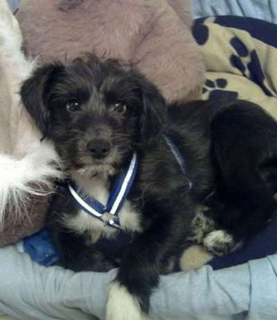 Foto Challenge 82-Beitrag-Bild