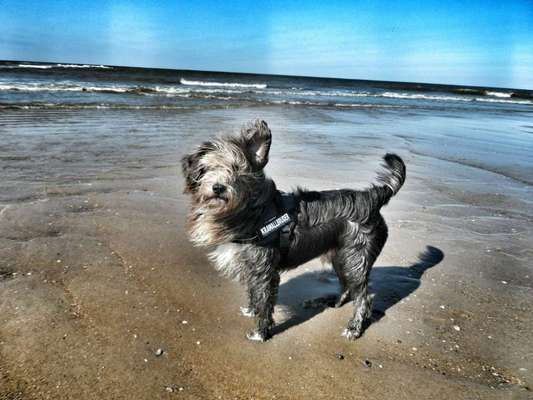 Theos Fotochallange Nummer 4-Beitrag-Bild