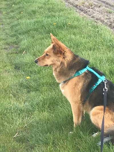 Geschirr Empfehlung-Beitrag-Bild