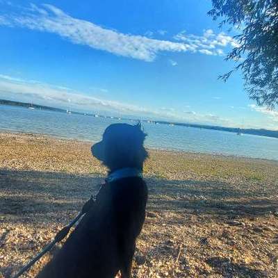 Pferdeknochen gesucht-Beitrag-Bild