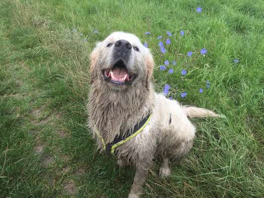 Das beste grinsefoto-Beitrag-Bild