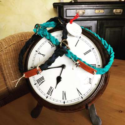 Eure Hundegarderobe/Hundewand/Hundebereich-Beitrag-Bild