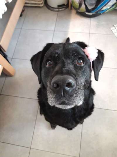 Handy-Foto Challange Nr. 10-Beitrag-Bild