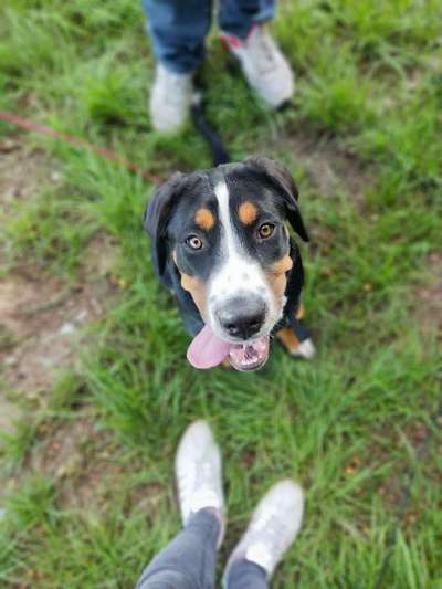 Handy-Foto Challange Nr. 10-Beitrag-Bild