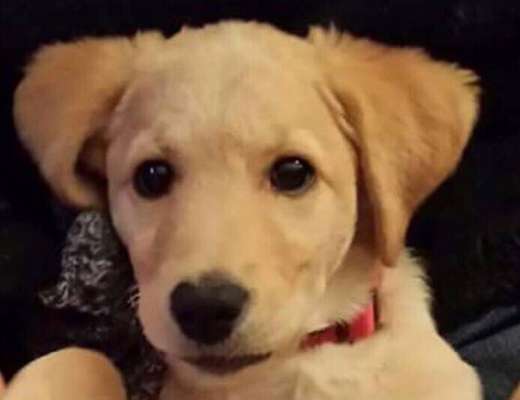 Sie werden so schnell erwachsen ...-Beitrag-Bild