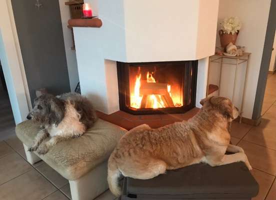 Challenge Nr 14
Eure Fellnasen auf ihrem Lieblingsplatz-Beitrag-Bild