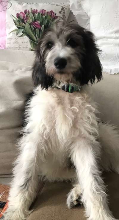 Sie werden so schnell erwachsen ...-Beitrag-Bild