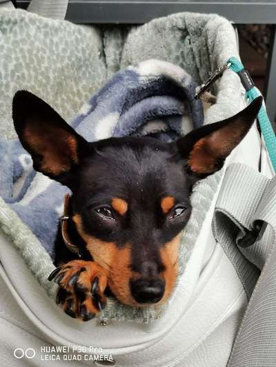 Fotochallange Nr. 57     PORTRÄT.   Beendet!!!!!!!!-Beitrag-Bild