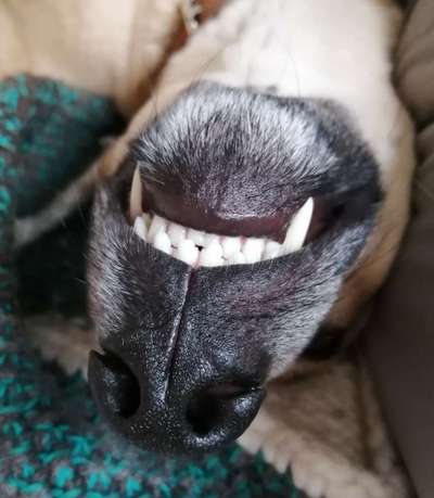 Blick fürs Detail!-Beitrag-Bild