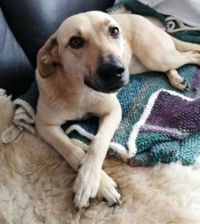 Lieblingsbild :D-Beitrag-Bild