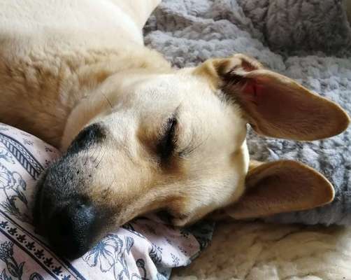 Blick fürs Detail!-Beitrag-Bild