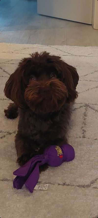 Lieblingsbild-Beitrag-Bild