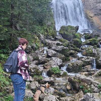 Bergwandern mit Hund-Beitrag-Bild