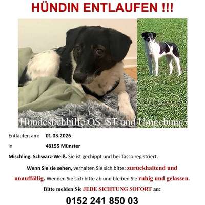 Suchmeldung-Zara-Bild