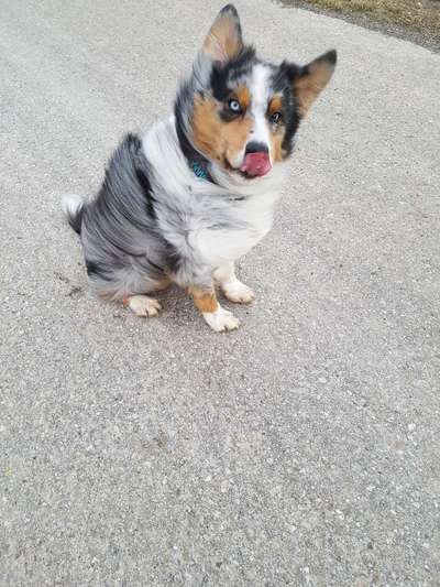 Hier ist der Spaßthread. Zum Schmunzeln und Kaputtlachen-Beitrag-Bild