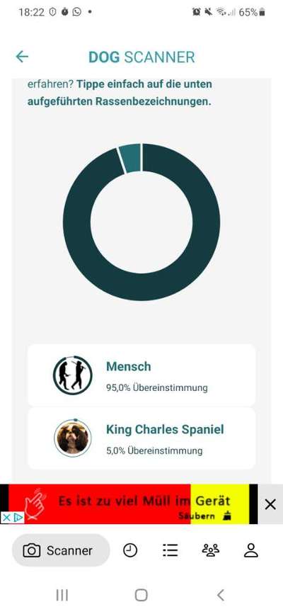 Dog Scanner - welche Rasse hat dein Mensch?-Beitrag-Bild