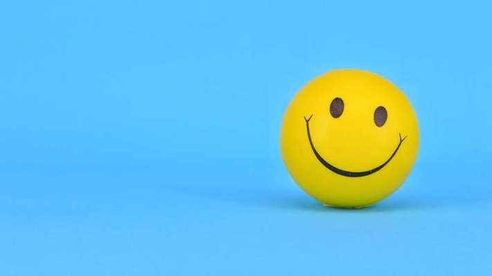 Wie heißt dein Hund?-Beitrag-Bild