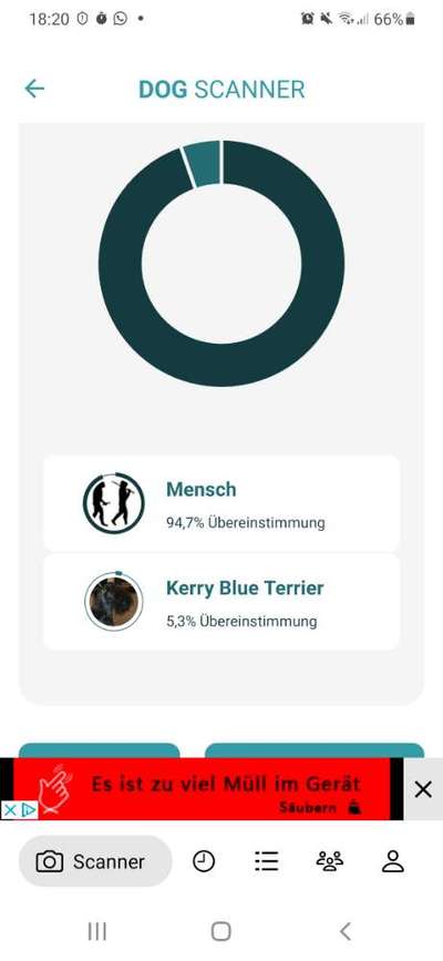 Hunderasse gesucht-Beitrag-Bild