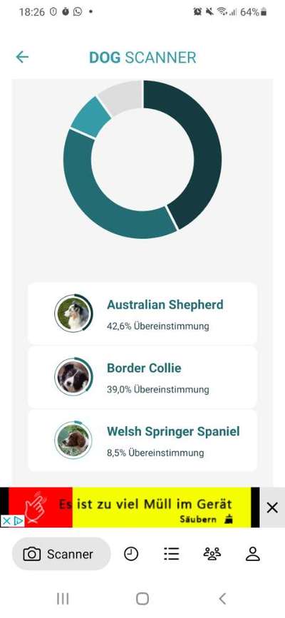 Hunderasse gesucht-Beitrag-Bild