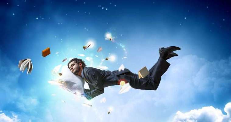 Wie heißt dein Hund?-Beitrag-Bild