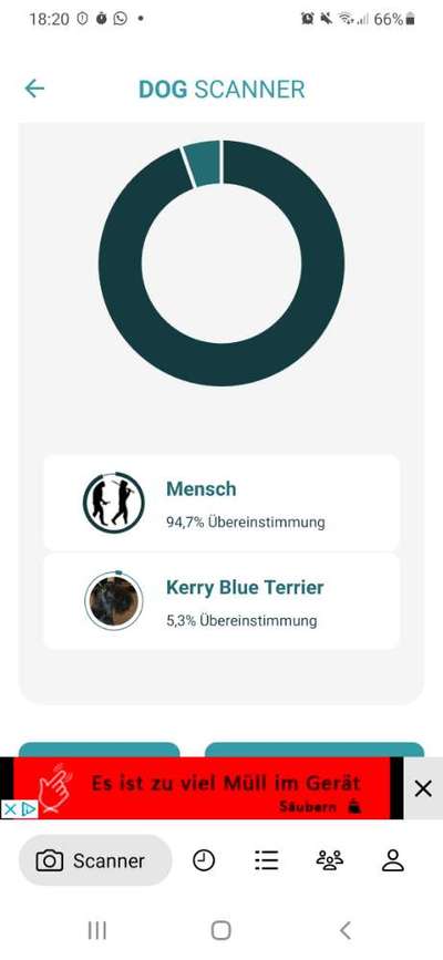 Dog Scanner - welche Rasse hat dein Mensch?-Beitrag-Bild