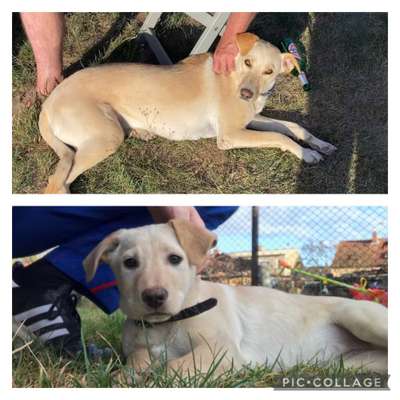 28. Handy-Fotochallenge - Damals und heute-Beitrag-Bild