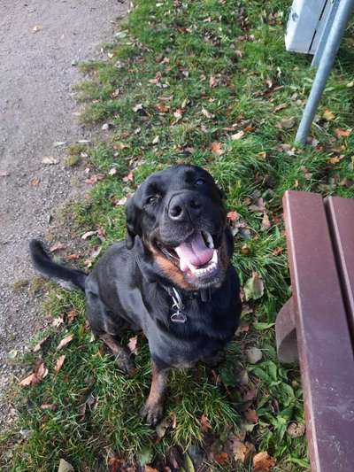 Von oben-Beitrag-Bild