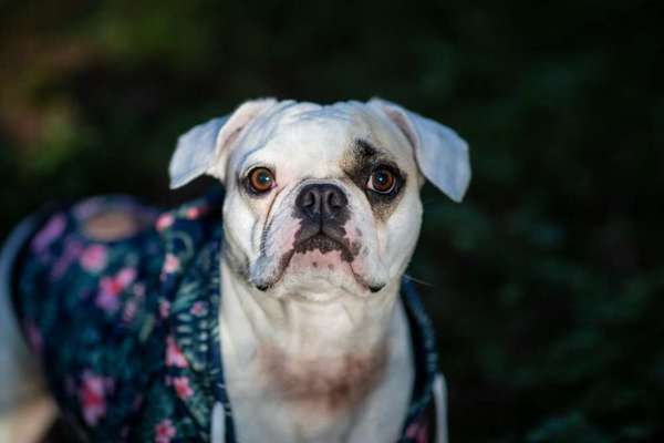 Fotochallange Nr. 57     PORTRÄT.   Beendet!!!!!!!!-Beitrag-Bild