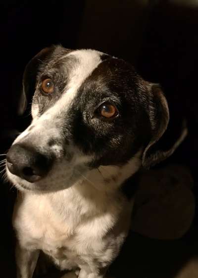 Zeigt eure Portraits-Beitrag-Bild