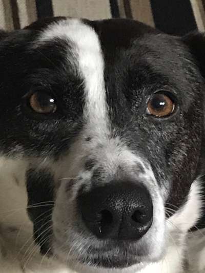 Fotochallange Nr. 57     PORTRÄT.   Beendet!!!!!!!!-Beitrag-Bild