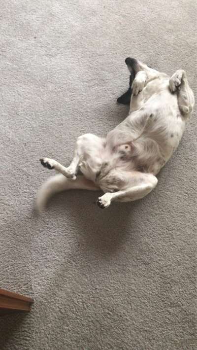 13. Farben-Fotochallenge "Grau"-Beitrag-Bild