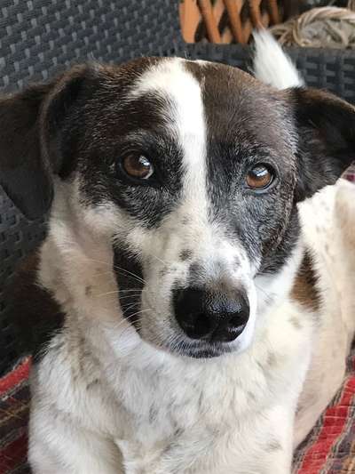 Zeigt eure Portraits-Beitrag-Bild