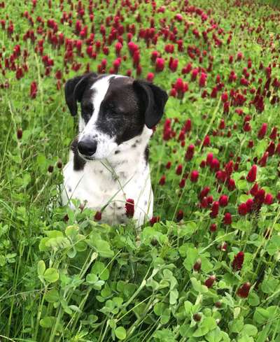 Lieblingsbild-Beitrag-Bild